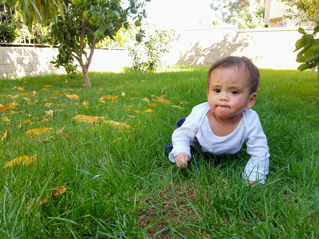 child healing from eczema and failure to thrive crawling on the grass