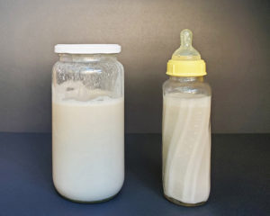 homemade infant formula