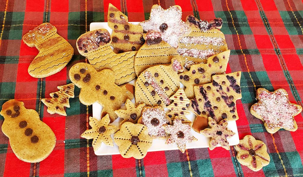 allergy-friendly christmas cookies